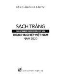 Sách trắng Doanh nghiệp Việt Nam năm 2020: Phần 1