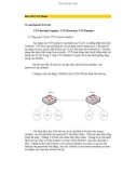 VTP Revison, VTP Pasword, VTP Domain