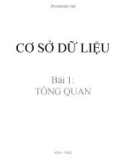 Bài giảng Cơ sở dữ liệu - Bài 1: Tổng quan