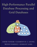 High-Performance Parallel Database Processing and Grid Databases- P1