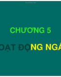 Bài giảng Chương 5: Hoạt động ngắt