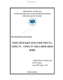 Tiểu luận Phân tích tài chính: Phân tích khả năng sinh lời của công ty - Công ty Nhựa Bình Minh (BMP)