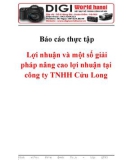 Báo cáo thực tập Lợi nhuận và một số giải pháp nâng cao lợi nhuận tại công ty TNHH Cửu Long