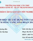 Báo cáo luận văn tốt nghiệp: Phân tích hiệu quả sử dụng vốn tại công ty TNHH TM Sóng Vang giai đoạn 2010 – 2012