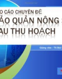 BÁO CÁO CHUYÊN ĐỀ VỀ: BẢO QUẢN NÔNG SẢN SAU THU HOẠCH