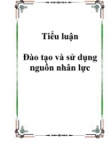 Tiểu luận Đào tạo và sử dụng nguồn nhân lực