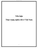 Tiểu luận: Thực trạng nghèo đói ở Việt Nam