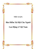 Tiểu luận đề tài: Bảo Hiểm Xã Hội Cho Người Lao Động ở Việt Nam