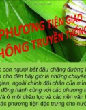 Phương tiện giao thông truyền thống