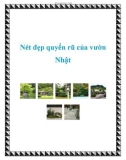 Nét đẹp quyến rũ của vườn Nhật