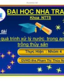 Đề tài: Các quá trình xử lý nước trong ao nuôi trồng thủy sản - ĐH Nha Trang