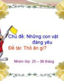 Bài giảng chủ đề Những con vật đáng yêu đề tài : Thỏ con ăn gì?