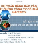 Bài tập quản trị tài chính khách sạn dự toán bảng báo cáo tài chính công ty cổ phần Hacinco 