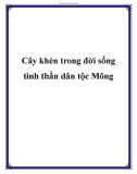 Cây khèn trong đời sống tinh thần dân tộc Mông