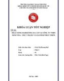 Khóa luận tốt nghiệp: Hoạt động marketing đa cấp tại công ty TNHH Noni Vina - thực trạng và giải pháp phát triển
