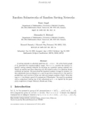 Báo cáo toán học: Random Subnetworks of Random Sorting Networks