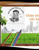 Bài thuyết trình Báo cáo tài chính công ty Cổ phần Sữa Vinamilk năm 2012 và năm 2013