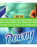 Tiểu luận: Phân tích ảnh hưởng của hoạt động xúc tiến bán hàng đến khối lượng đặt hàng sản phẩm downy của P&G tại các đại lý ở thành phố Huế