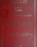 Khóa luận tốt nghiệp: Một số biện pháp vượt rào cản kỹ thuật thương mại khi các doanh nghiệp Việt Nam xuất khẩu hàng hóa sang thị trường Hoa Kỳ