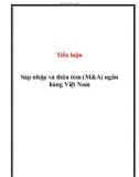 Tiểu luận ngân hàng: Sáp nhập và thâu tóm (M&A) ngân hàng Việt Nam