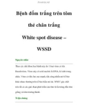 Bệnh đốm trắng trên tôm thẻ chân trắng-White spot disease