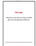 Tiểu luận: Phân tích tỷ số tài chính của Công ty Cổ Phần Dịch Vụ & Xây Dựng Địa Ốc Đất Xanh