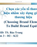 Thuyết trình: Chọn các yếu tố thương hiệu nhằm xây dựng giá trị thương hiệu (Choosing Brand Elements To Build Brand Equity)