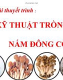 Bài thuyết trình: Kỹ thuật trồng nấm đông cô