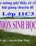 Bài giảng Sinh học 11 bài 29: Điện thế hoạt động và sự lan truyền xung thần kinh - Huỳnh Kim Thúy