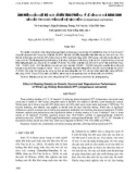 BÁO CÁO ẢNH HƯỞNG CỦA MẬT ĐỘ NUÔI VỖ ĐẾN TĂNG TRƯỞNG, TỶ LỆ SỐNG VÀ KHẢ NĂNG SINH SẢN CỦA TÔM CHÂN TRẮNG BỐ MẸ SẠCH BỆNH (Litopenaeus vannamei) 