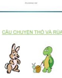 CÂU CHUYỆN THỎ VÀRÙA