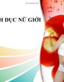 Bài thuyết trình: Hệ sinh dục nữ giới