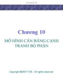 Bài giảng Lý thuyết kinh tế học vi mô: Chương 10 - GV. Đinh Thiện Đức