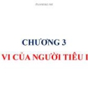 Bài giảng Kinh tế vi mô: Chương 3 - Phòng Thị Huỳnh Mai