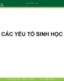 Bài giảng Các yếu tố sinh học