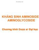 Bài giảng Aminoside Kháng sinh Aminoglycoside