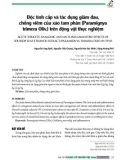 Độc tính cấp và tác dụng giảm đau, chống viêm của xáo tam phân (Paramignya trimera Oliv.) trên động vật thực nghiệm