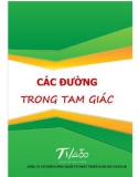 Các đường trong tam giác