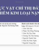 Thảo luận nhóm: Thực vật chỉ thị đất ô nhiễm kim loại nặng