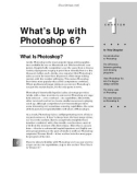 Photoshop 6 for Windows Bible- P4