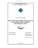 LUẬN VĂN: PHÂN TÍCH HOẠT ĐỘNG TÍN DỤNG TẠI NGÂN HÀNG CÔNG THƯƠNG CHI NHÁNH CÀ MAU