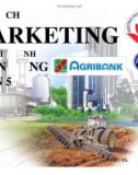 Luận văn kế hoạch Marketing của chi nhánh ngân hàng Agribank quận 5