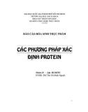 Báo cáo Hóa sinh thực phẩm: Các phương pháp xác định Protein