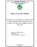 ẢNH HƢỞNG CỦA NẤM GLOMUS sp. VÀ BỐN MỨC PHÂN LÂN ĐẾN SINH TRƢỞNG, PHÁT TRIỂN BẮP C919 VÀ XÁC ĐỊNH NẤM CỘNG SINH MYCORRHIZA BẰNG KỸ THUẬT PCR