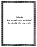 Luận văn tốt nghiệp: Đào tạo nguồn nhân lực dưới đại học cho phát triển công nghiệp