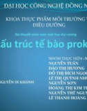 Bài thuyết trình Sinh học đại cương: Cấu trúc tế bào Prokyote