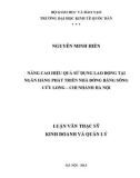 Luận văn Thạc sĩ Kinh doanh và quản lý: Nâng cao hiệu quả sử dụng lao động tại ngân hàng phát triển nhà đồng bằng Sông Cửu Long - Chi nhánh Hà Nội