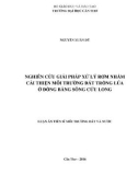 Luận án Tiến sĩ Môi trường đất và nước: Nghiên cứu giải pháp xử lý rơm nhằm cải thiện môi trường đất trồng lúa ở đồng bằng sông Cửu Long