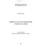 Luận án Tiến sĩ Môi trường đất và nước: Nghiên cứu sản xuất khí sinh học từ rơm và lục bình