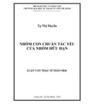 Luận văn Thạc sĩ Toán học: Nhóm con chuẩn tắc yếu của nhóm hữu hạn